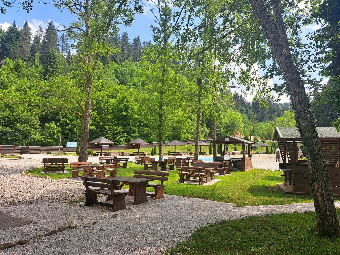 Šuma